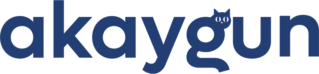 akaygun.de